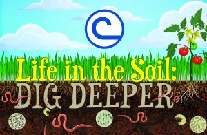 Life in the Soil: Dig Deeper Contest Logo