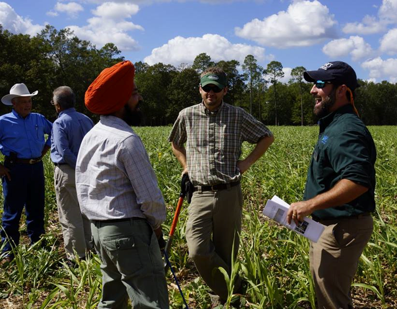 Participants chat after a soil health field day