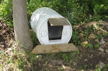 unacceptable-animal-shelter-10.jpg
