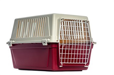 unacceptable-animal-shelter-12.jpg
