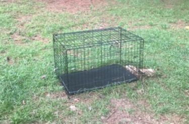 unacceptable-animal-shelter-5.jpg