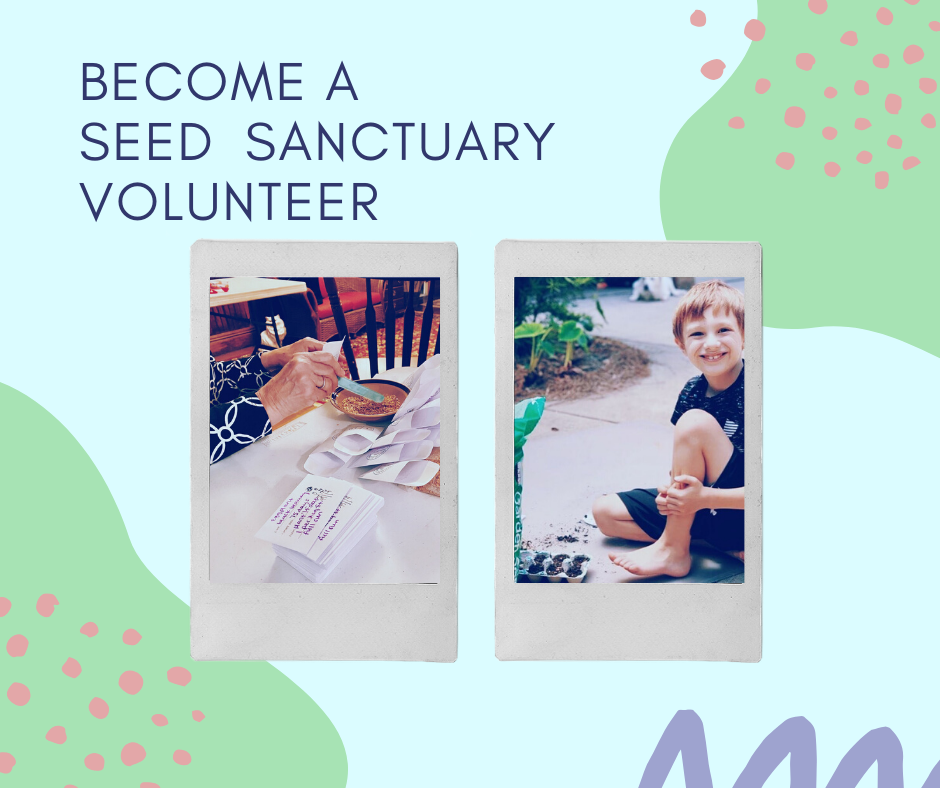 Click here to become a Seed Sanctuary volunteer