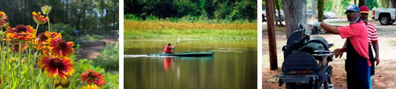 Pinewood Lake Activities